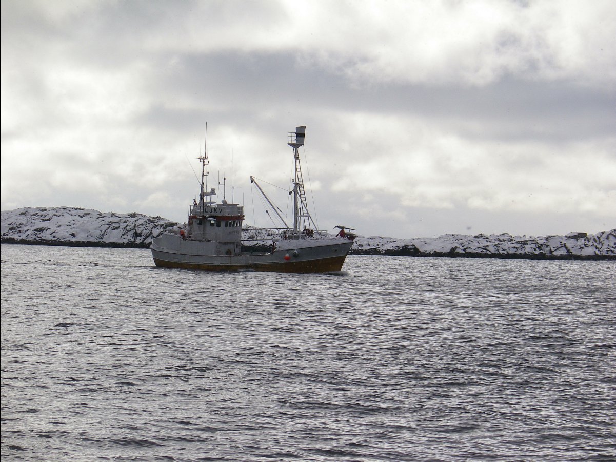 Cod Fishing33